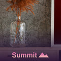 TONIC Frames | Summit