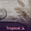 TONIC Frames | Tropical
